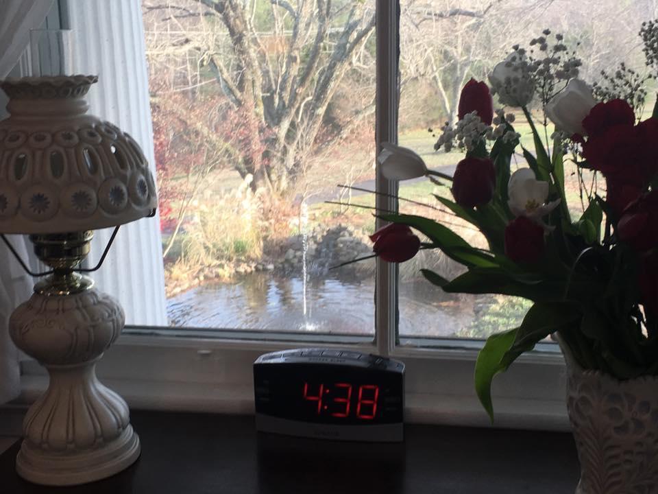 Winridge Manor Bed And Breakfast Madison Heights Bagian luar foto